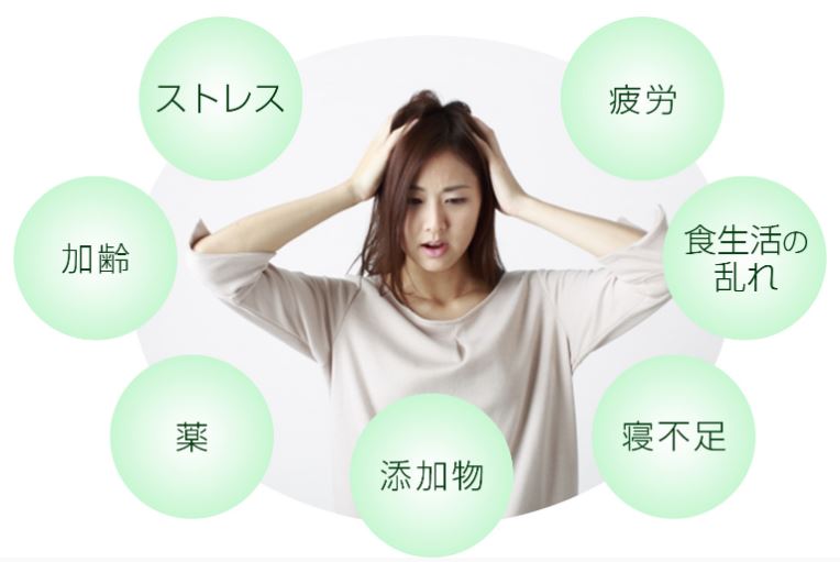 プシュケー,通販